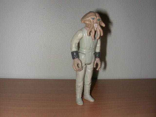 Squidhead